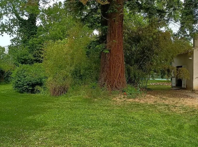 Bellevue Privatunterkunft *